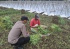 Bhabinkamtibmas-Desa-Sumberejo-Cek-Ketahanan-Pangan-Warga,-dengan-Pemanfaatan-Lahan-Kosong-untuk-Tanaman-Sayur