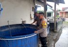 Budidaya-Ikan-Koi-Topang-Ketahanan-Pangan-Desa-Rejeni