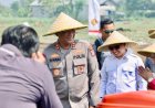 Kapolda-Jatim-Pimpin-Penanaman-Jagung-Serentak-Kwartal-IV-di-Mojokerto-Pakai-Benih-Eco-Bhayangkara