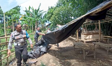 Tegas-Berantas-Perjudian-Polisi-Bongkar-Lima-Arena-Sabung-Ayam-di-Jember