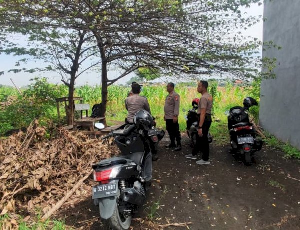 Persiapan Panen Raya, Polisi Tinjau Lahan Jagung