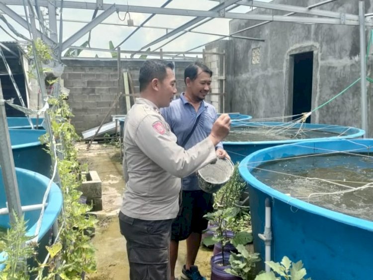 Bhabinkamtibmas Apresiasi Budidaya Ikan Lele di Lahan Rumah Warga Sedati Gede